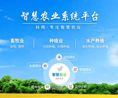 計算機技術(shù)賦能農(nóng)機工業(yè) 從智能咨詢到數(shù)字化轉(zhuǎn)型